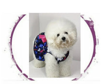 Load image into Gallery viewer, Dress - Cosmic Dress with Pink Bow