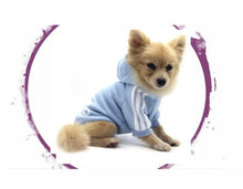 Load image into Gallery viewer, Hoodie - Adidog