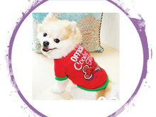 Load image into Gallery viewer, T-Shirt - Christmas Theme Official Cookie Tester