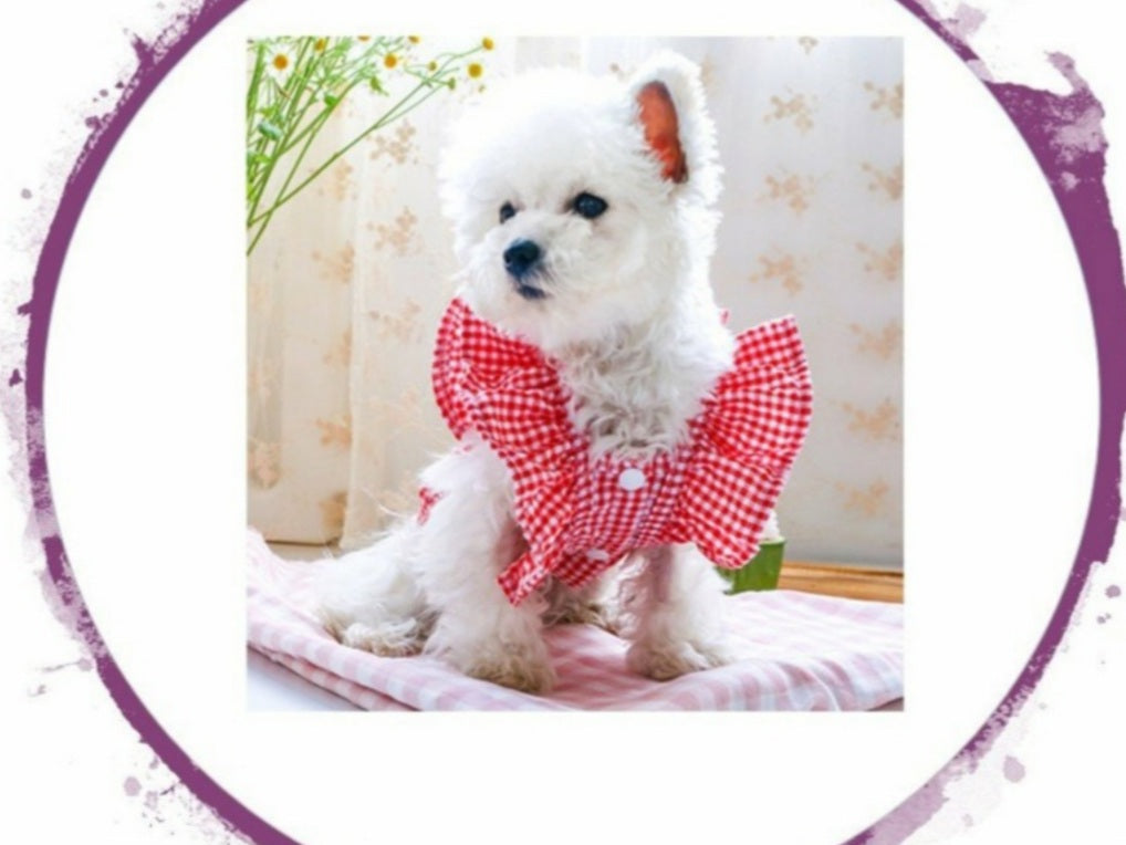 Top - Red Bow Checked Top with Frilly Sleeves and 3 Press Stud