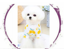 Load image into Gallery viewer, Pajamas - Lemon Pattern
