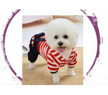 Load image into Gallery viewer, Teddy Bear Onesie
