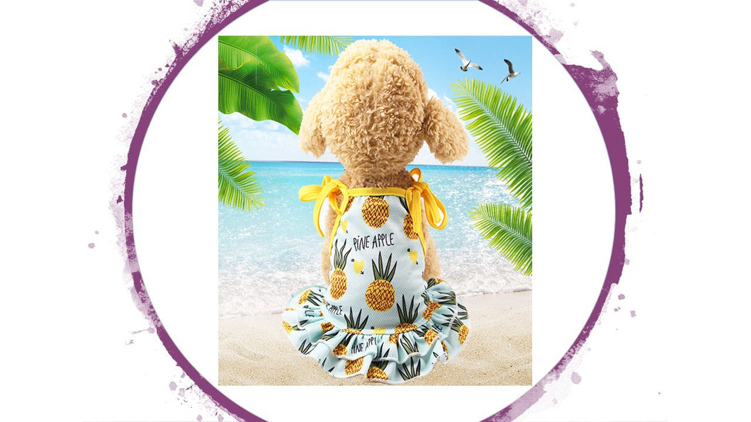 Dress - Fruit Themed Pineapple Tutu Dress