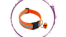 Load image into Gallery viewer, Collars- Variety of Colours
