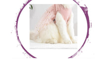 Load image into Gallery viewer, Dress - Ribbed Top Pink Princess Star Tutu Dress
