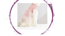 Load image into Gallery viewer, Dress - Ribbed Top Pink Princess Star Tutu Dress
