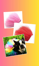 Load image into Gallery viewer, Tutu Skirt Pink
