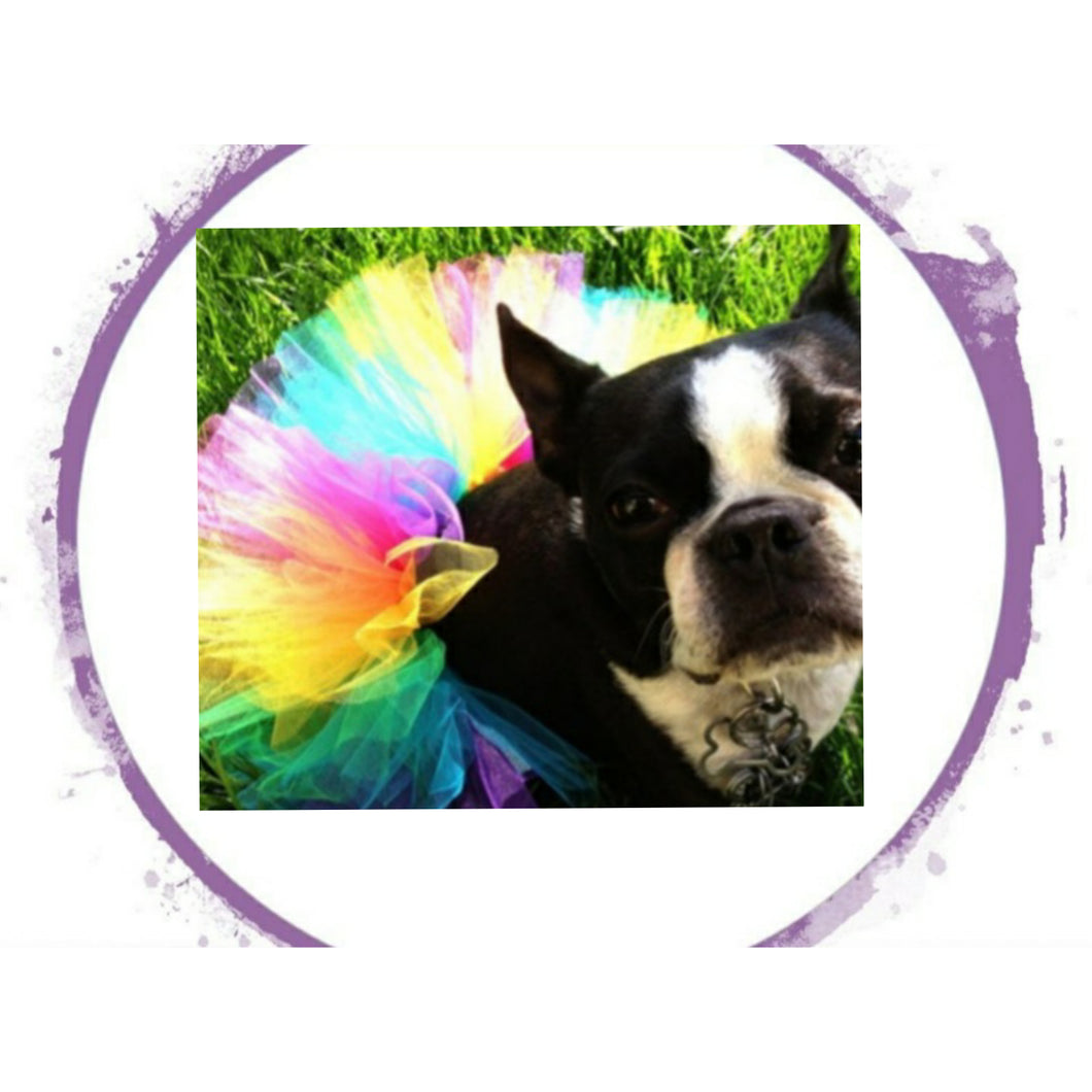Tutu Skirt Multi Colour